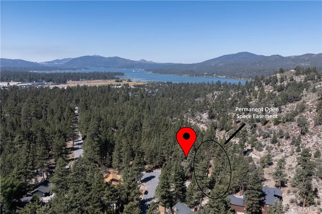 42518 Gold Rush Drive, Big Bear Lake, California 92315 home-pic-1